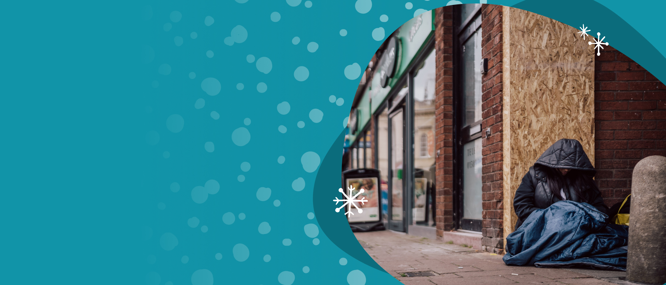 Christmas falcon image