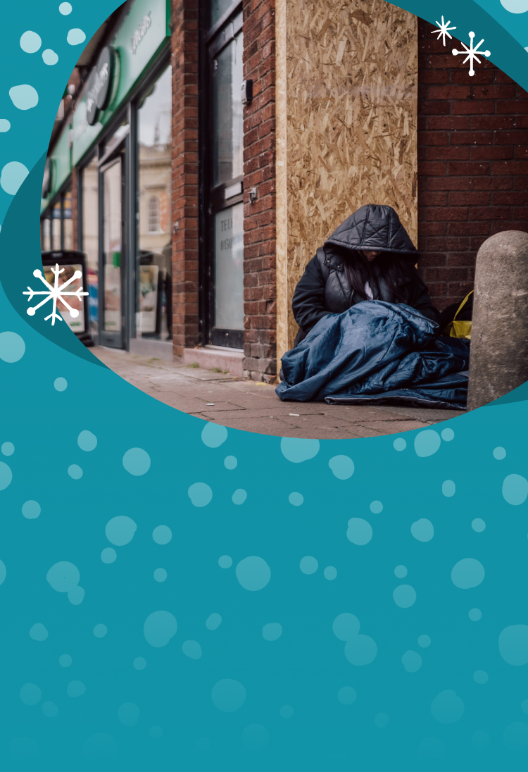 Christmas falcon image