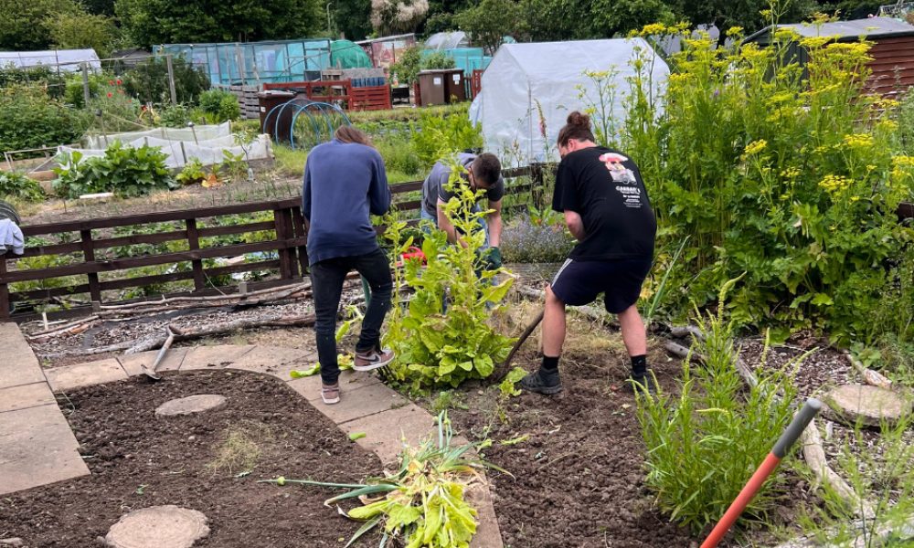 Become a Business Champion and grow new CSR opportunities