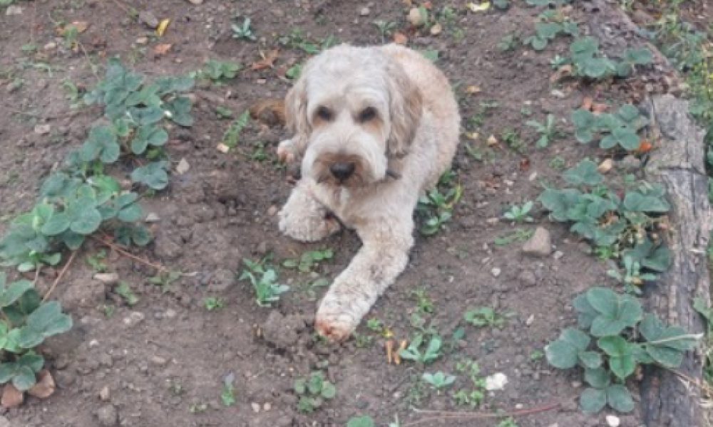 What are we doing as an organisation to become more sustainable?